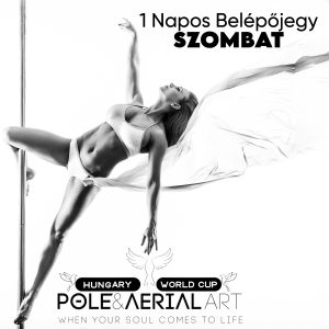Egynapos jegy - 🕊️AerialART🕊️nap <br>(november 8., szombat)