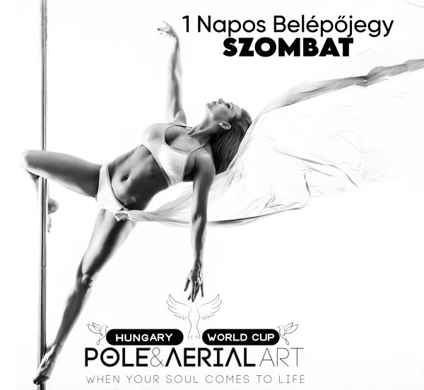 Egynapos jegy - 🕊️AerialART🕊️nap <br>(november 8., szombat)