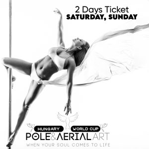 Two-day ticket - 🕊AerialART & PoleART & ExoART🕊day <br>(november 8-9.)