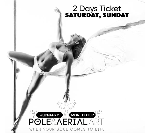 Two-day ticket - 🕊AerialART & PoleART & ExoART🕊day <br>(november 8-9.)