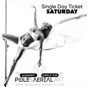 Single day ticket - 🕊️AerialART🕊day <br>(november 8., Saturday)