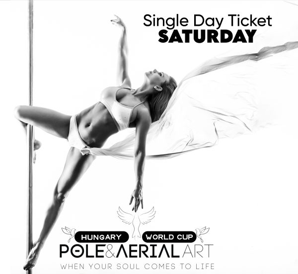 Single day ticket - 🕊️AerialART🕊day <br>(november 8., Saturday)