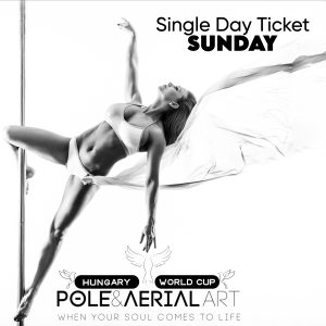 Single day ticket - 🕊PoleART & ExoART🕊day <br>(november 9., Sunday)