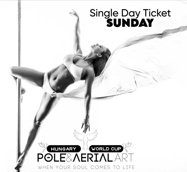 Single day ticket - 🕊PoleART & ExoART🕊day <br>(november 9., Sunday)